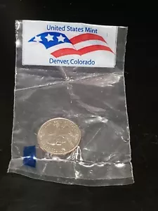 2004-D UNCIRCULATED Texas State Quarter IN SEALED DENVER COLORADO MINT BAG - Picture 1 of 4
