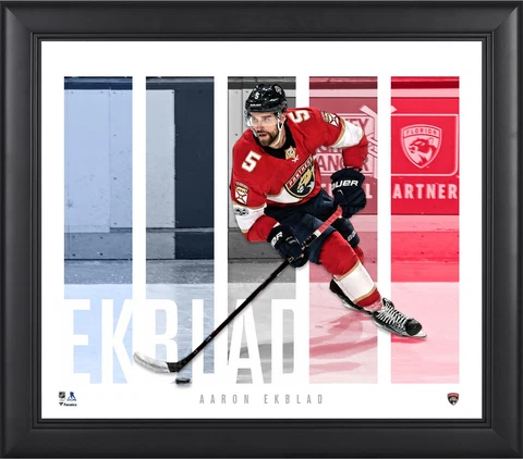 Aaron Ekblad Florida Panthers Framed 15x17 Player Panel Collage Cover