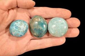 BLUE APATITE 1 1/2" 3 Pcs Tumbled Polished Rock Mineral Specimen Chakra Healing - Picture 1 of 1
