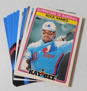TIM RAINES HOFer YOU PICK YOUR CARD, ASSORTED YEARS & COMPANIES (item#M25) - Picture 1 of 7