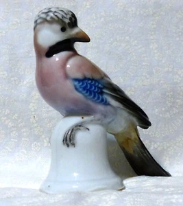 Karl Ens Volkstedt Rare German EURASION JAY Bird Fine Porcelain - Picture 1 of 12