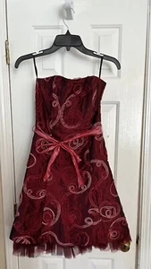 Jessica McClintock Women’s Strapless Ribbon Embroidered Tully dress Size 4 - Picture 1 of 20