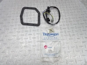1998 97-01 Triumph 955 Speed Triple Front Headlight Wiring Sub Harness Loom OEM - Picture 1 of 15