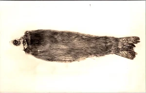 RPPC Fur-Bearing Trout, Furry Trout, Shaggy Trout, Polar Trout, beaver Trout - Picture 1 of 2
