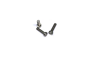 10 x Titanium Grade 2 Schrauben / Screws DIN 84 M2,5 x 16 - Picture 1 of 1