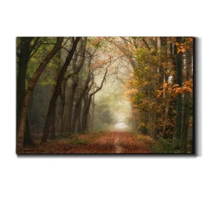 Landscape Canvas Wall Art Abstract Floral Forest Modern Pictures Artwork Deco... - Picture 1 of 7