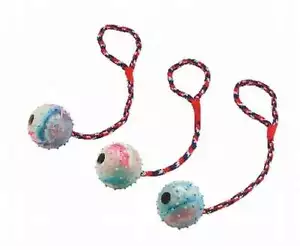 Ball am Seil Ø 6 cm Hundespielzeug Schleuderball Hundeball Spielball Bringsel - Bild 1 von 1