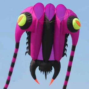 Trilobites Kite Factory Big Kite for Adults Soft Kites Inflatable Paragliding - Picture 1 of 51