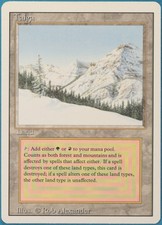 Taiga Revised NM Land Rare MAGIC THE GATHERING MTG CARD (ID# 238741) ABUGames