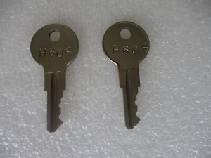 Replacement Two Key One Pair H604 - Imagen 1 de 2