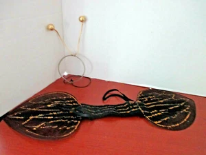 Diadema y alas de abejorro para niños - Imagen 1 de 1