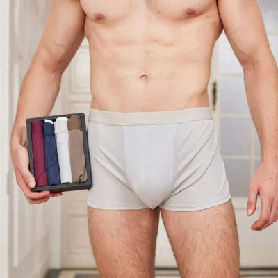 Calzoncillos boxer de punto de seda morera para hombre 4 piezas ropa interior súper cómodos geniales Foto 1 de 4
