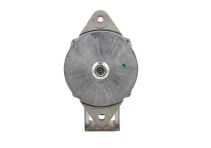 Remy New Automobile Alternator 12 Volt 7130 Gram For Caterpillar 130A 1117965 - Picture 1 of 11