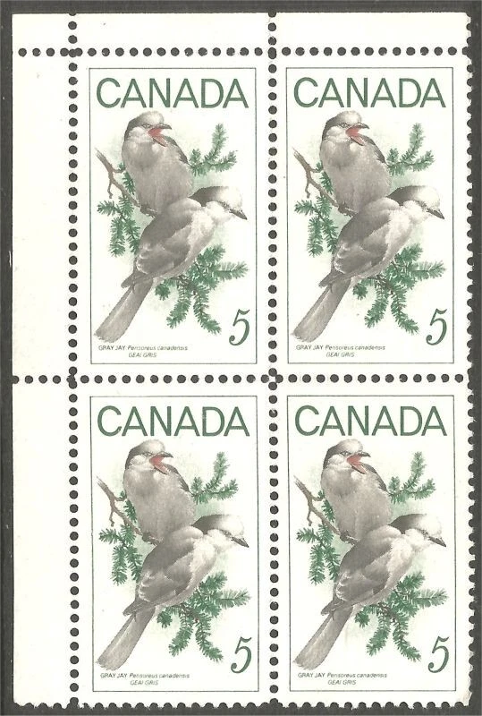 bsc145  Canada 478 Wildlife Gray Jays upper left blank plate block MNH ** - Image 1 of 1