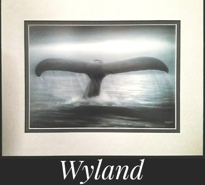 Wyland, 11" x 14" impressão de calendário de belas artes. Montado em núcleo de espuma sem ácido. NOVO! - Imagem 1 de 1