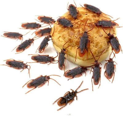 20 Broma Falsas Cucarachas Plástico Cucarachas Espeluznantes Insectos Fiesta Juego Juguete Regalos Foto 1 de 4