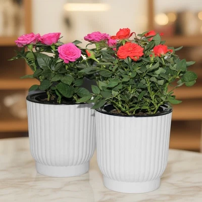 Maceta de plástico auto riego interior exterior jardinería maceta Foto 1 de 4