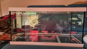 aquarium komplett set - Bild 1 von 5