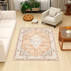 Bohemian Area Rug (Ginger/Brown, 4'x6') 4x6 Area Rugs, Soft Non-Slip Indoor A... - Picture 1 of 6