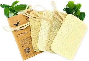 Set of 4 All Natural Loofah Sponges for Dishes, Kitchen and Bathroom Cleaning - Picture 1 of 6