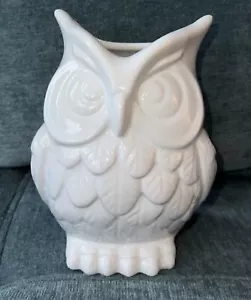 White Ceramic Owl Vase Decoration Forest Decor Succulent Planter Cottagecore - Picture 1 of 5