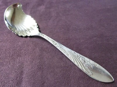 Cuchara de conservación CASHMERE 1884 cuenco asimétrico plateado sin monograma Foto 1 de 4