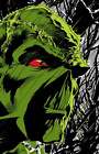 Absolute Swamp Thing By Len Wein And Bernie Wrightson Hc  Graphic Novel