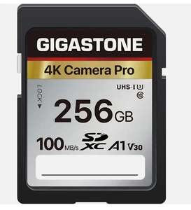 Gigastone 256GB SDXC Speicherkarte 4K Pro Series Kamera Übertragungsgeschwindigkeit bis zu 100Mb - Bild 1 von 1