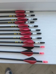 12 Easton Carbon One Arrows. 730 - Picture 1 of 10