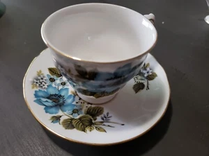 Taza de té y platillo a juego Queen Anne Fine Bone China England azul floral - Imagen 1 de 4