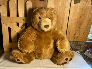 Gund ~ Kohl's Care Kuscheltier Plüschbär - Bild 1 von 6