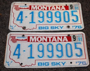 Montana  License Plate   "4-199905" Pair - Picture 1 of 6