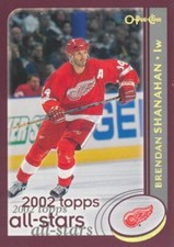 2002-03 O-Pee-Chee Gold Foil #326 BRENDAN SHANAHAN - Detroit Red Wings