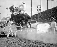Rodeo Trick Horse Rider Photograph Champion Performer 1948 Alberta 8x10 Print