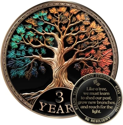 Juego de Regalo Moneda Sobriedad 3 Años Árbol de la Vida AA Chip con Soporte Cápsula y Tarjeta Foto 1 de 4