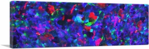 ARTCANVAS Purple Harlequin Opal Precious Stone Jewel Gemstone Canvas Art Print - Picture 1 of 11