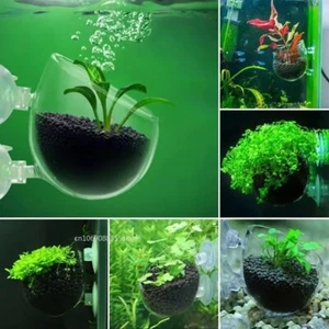 1-5pcs Aquatic Plant Growing Pot Holder Suction Glass Cup For Aquarium Fish Tank - Picture 1 of 11