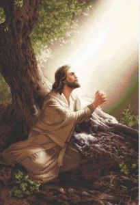 JESUS CHRIST PHOTO PICTURE CHRISTIAN 8x10 SIZE IMAGE - Picture 1 of 2