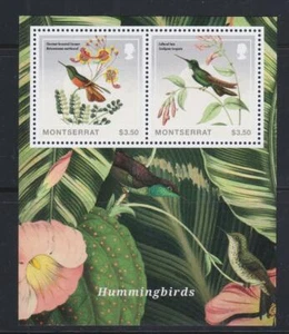 MONTSERRAT  2014 BIRD STAMPS HUMMINGBIRDS  SS MNH - BIRDL84 - Picture 1 of 1