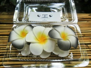 Frangipani Claw Hair Clips 7cm or 9cm x 3pcs - Double Flower white & black - Picture 1 of 28
