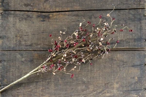 Pip Berry Pick Borgoña Verde Oliva Beige Primitivo Decoración Floral 26 pulgadas - Imagen 1 de 9