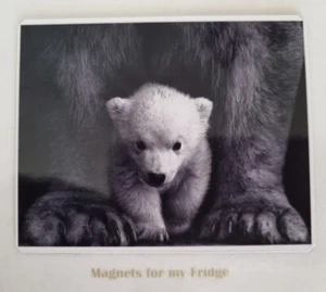 IMÁN NEVERA OSO POLAR PROTECTOR DE MAMÁ BEBÉ - M281 F - Imagen 1 de 1