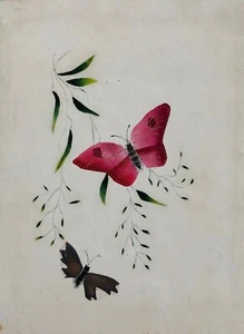 Study of Butterflies, Watercolour - Picture 1 of 1