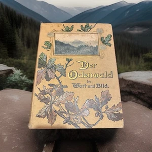 Buch der Odenwald In Wort Und Bild - Bild 1 von 7