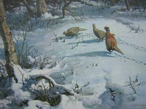 William Hollywood Wintertime Ringneck Pheasant Signed Limited Edition Print - Bild 1 von 1