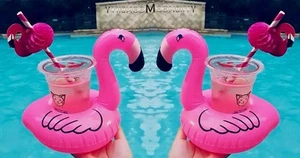 Flamingo Inflatable SET Of 2 Floating Coasters Can Cup Drink Holders Pool Beach - Picture 1 of 8