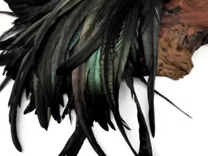 2.5 Inch Strip - Natural Black Half Bronze Coque Tail Strung Rooster Feathers - Picture 1 of 6