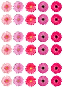 30 tapas mixtas de papel para cupcake de oblea comestible rosa flor/margarita - Imagen 1 de 1