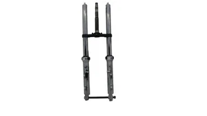 Yamaha FZS 600 Fazer Front Fork 2002 2003 Cristo Steli Canotti - Picture 1 of 13