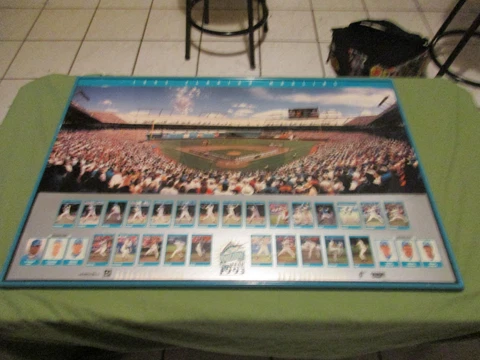 FLORIDA MARLINS 1993 INAUGURAL SEASON MATTED POSTER FRAME 36"X"24 Man Cave Cover